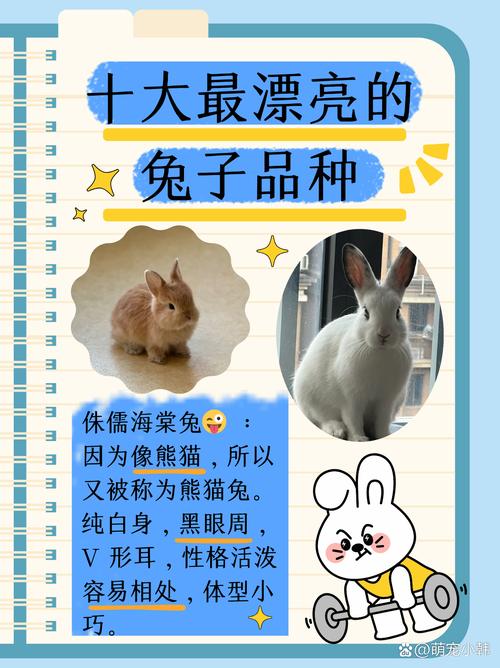 关于“好美丽的兔子”打一准确动物生肖的信息