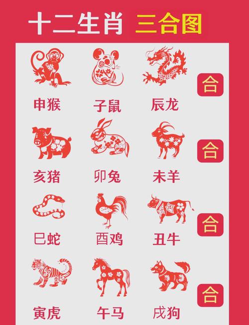 今期生肖排第三最正确的生肖,今期生肖排第三最正确的生肖是什么