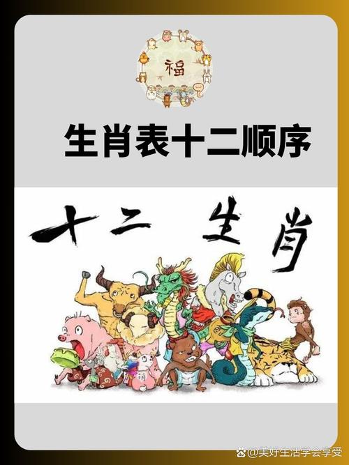 今期生肖排第一最准的动物是什么,今期生肖排第一最准的动物是什么动物