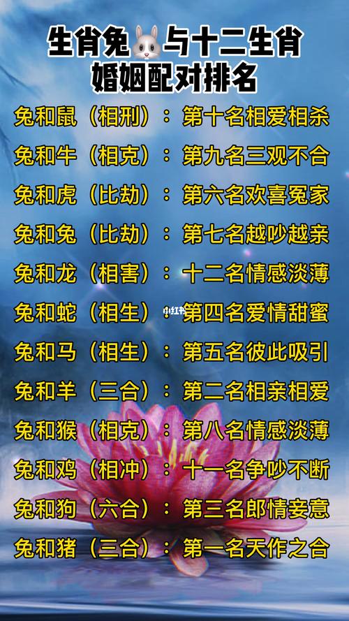 2002年属什么生肖相配,2002年属什么生肖属相什么命