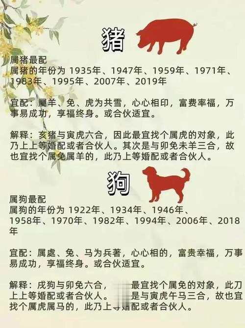 娶老婆娶什么生肖最好,娶老婆就娶这五大生肖女