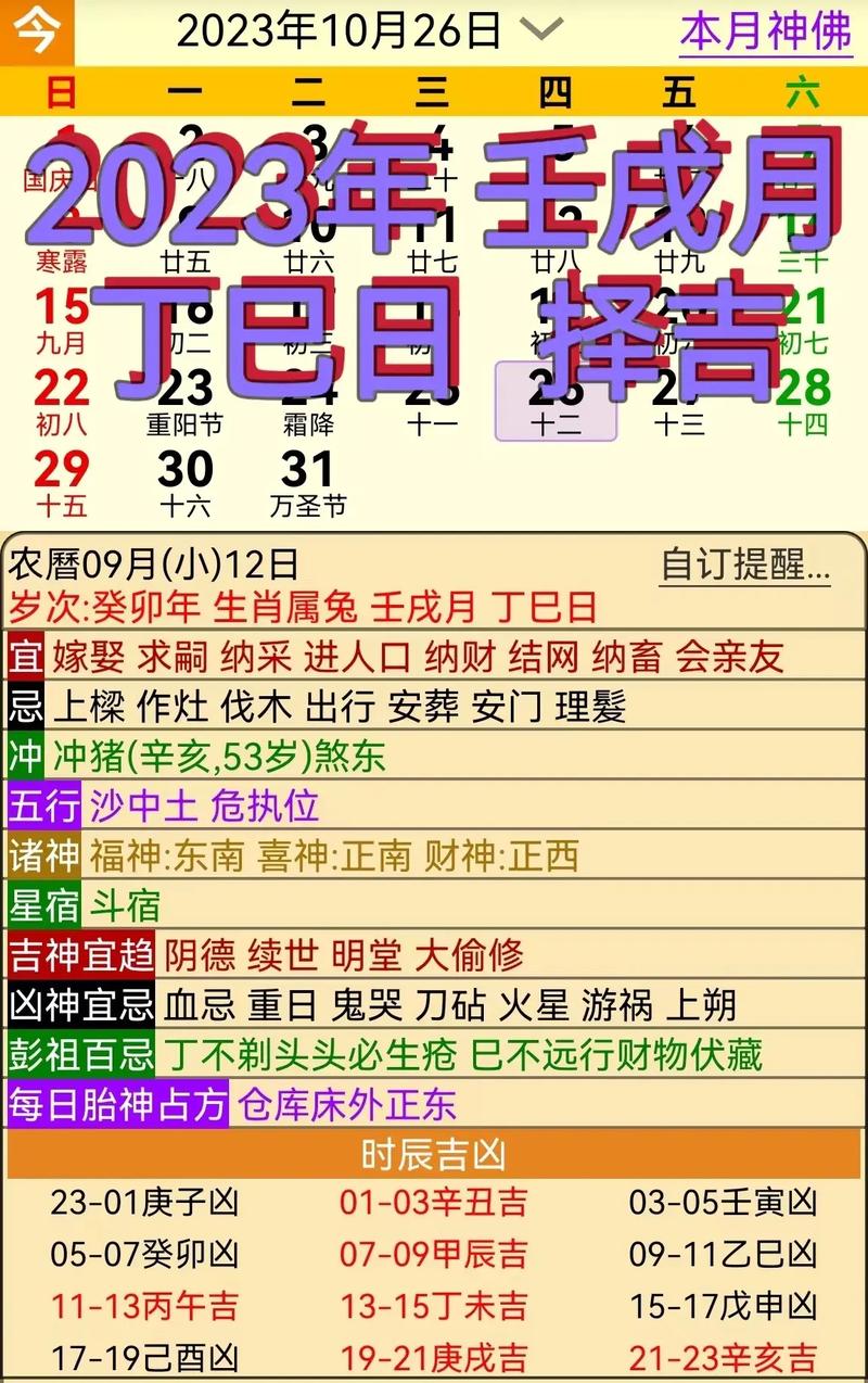 今期特马开桃花最佳答案,今期特马开桃花最佳答案一肖