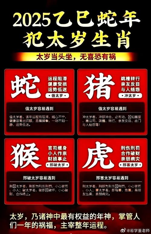 包含“太碰元帅征西去”打一准确生肖的词条
