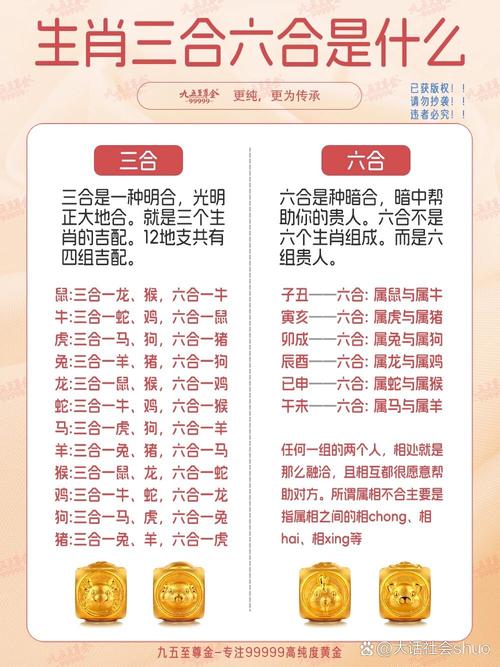 关于卅是什么意思打一生肖的信息
