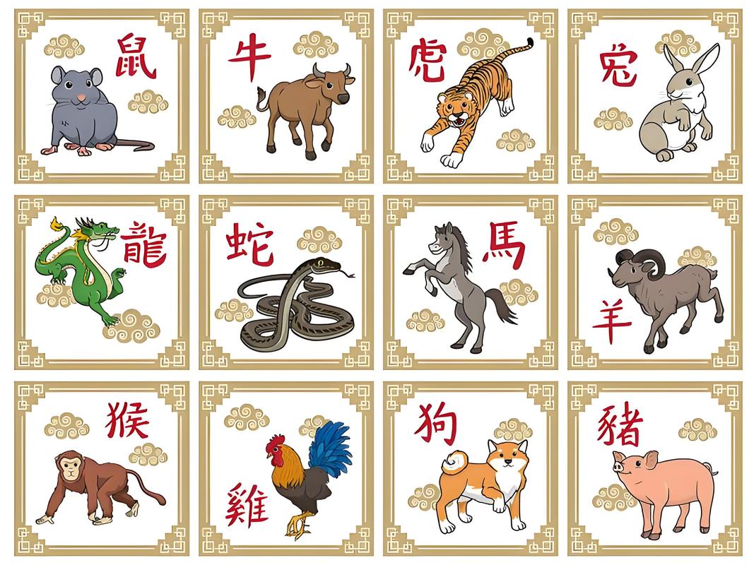 什么生肖形影不离伴一生,12生肖形影不离是指哪个生肖