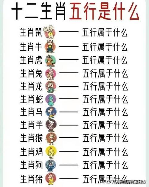 “四十开出六无意”打一最佳准确生肖的简单介绍