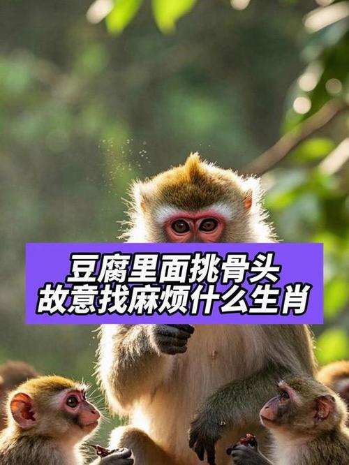 关于“钢丝穿豆腐”打一个生肖动物的信息