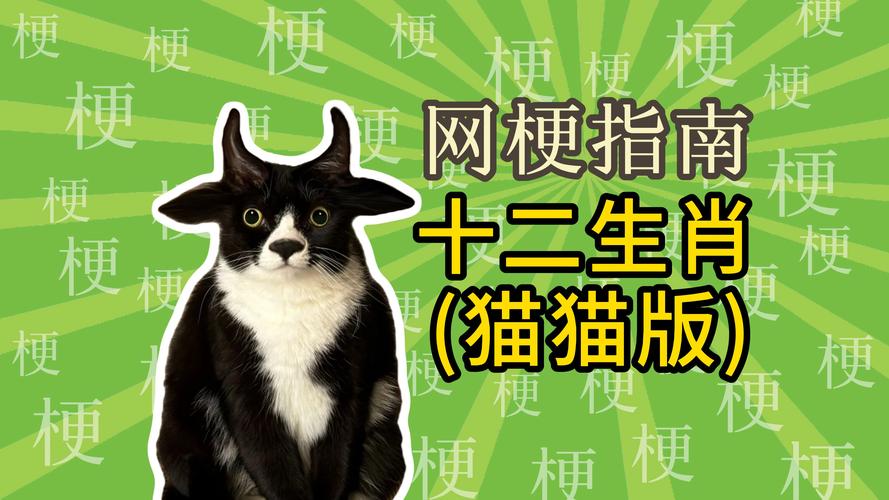 关于“可爱猫猫”打一正确的生肖的信息