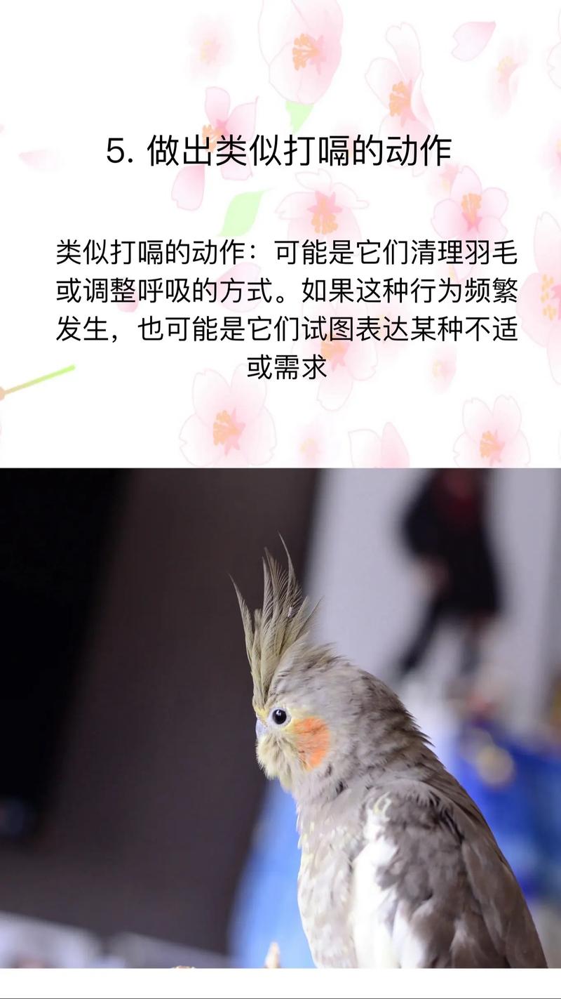 包含今期夫人有玄机表示什么动物的词条