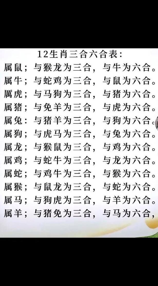 今期动物排第三是什么生肖,今期生肖排第一是指什么生肖