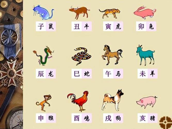今期生肖是第一指什么生肖呢图片,今期生肖是第一指什么生肖呢图片视频