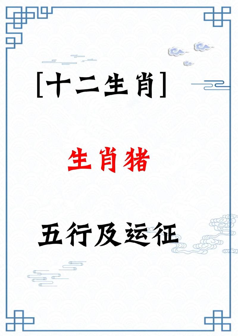 猪的生肖跟什么生肖最合适,猪的生肖跟什么生肖最合适婚配