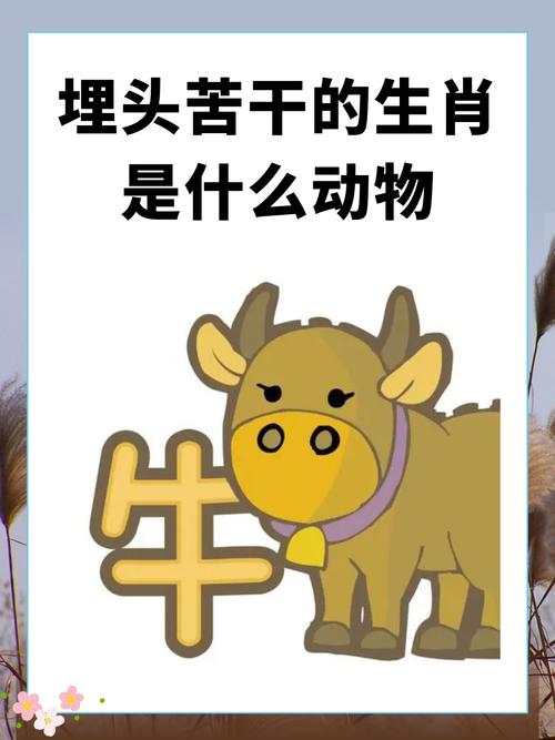 今期生肖有头牛什么意思,今期生肖有看头买上买下不是牛是什么生肖