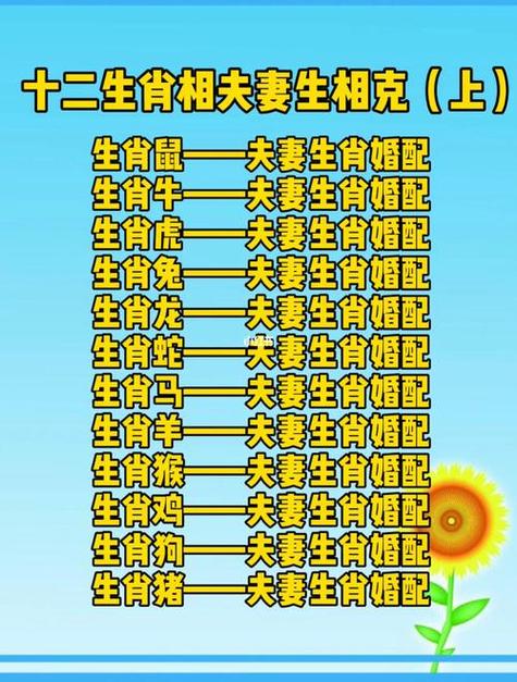 96年属什么生肖与什么配最好,96年属什么生肖与什么配最好婚姻