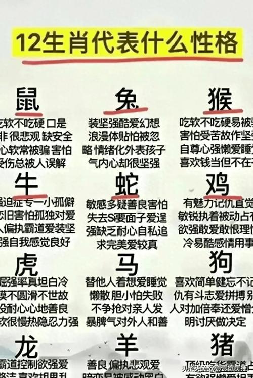 一样首打一生肖,什么生肖一模一样