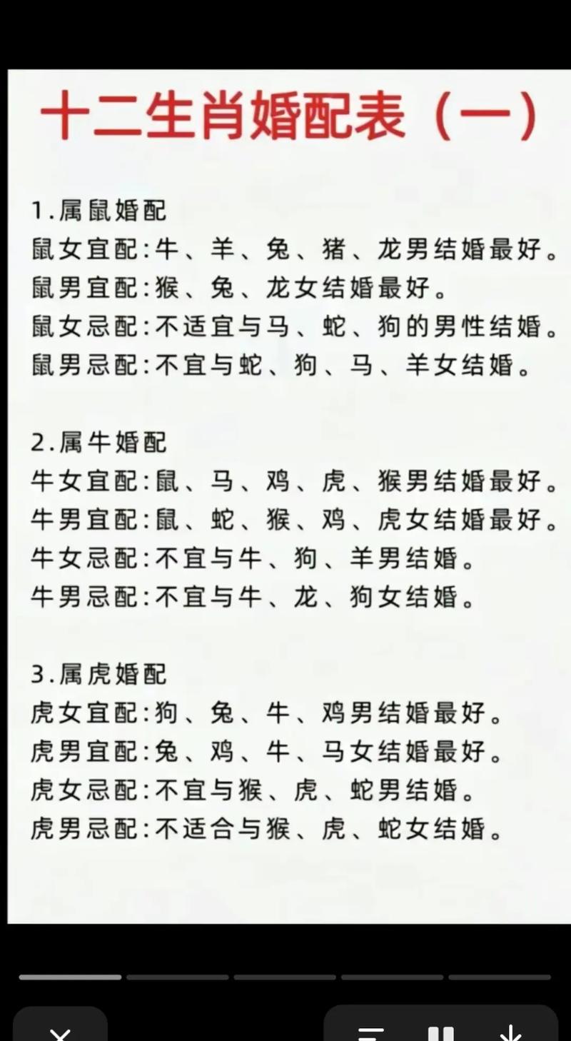 鼠与什么生肖相配最好,鼠与什么生肖最配对最好