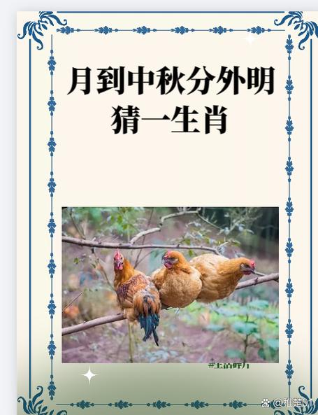 今期生肖看一眼猜生肖,今期生肖看一眼猜生肖是什么