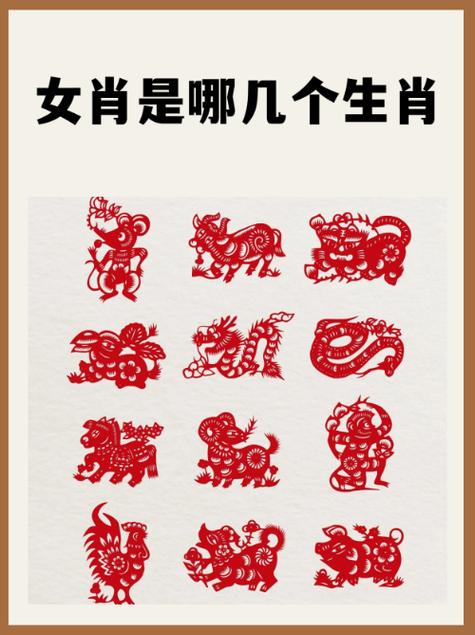 什么生肖九字头,什么生肖九字头兔来本期看四九