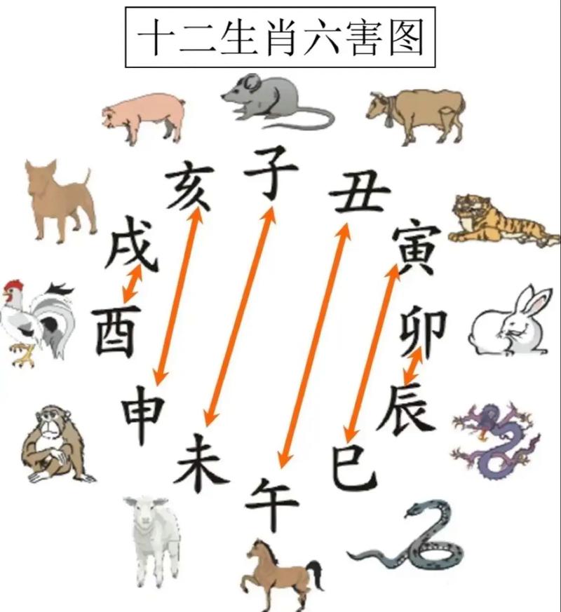 翅打一生肖最佳答案,翅代表什么动物的生肖