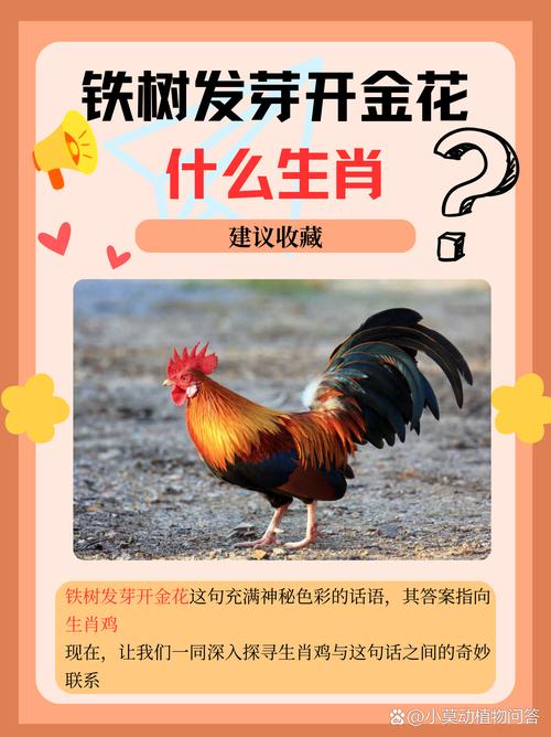 今期生肖是什么意思一生肖,今期生肖最好查,是哪个生肖