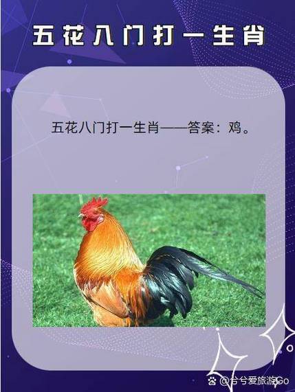 今期灯烛闪光辉打一生肖,今期灯红闪光辉是什么生肖