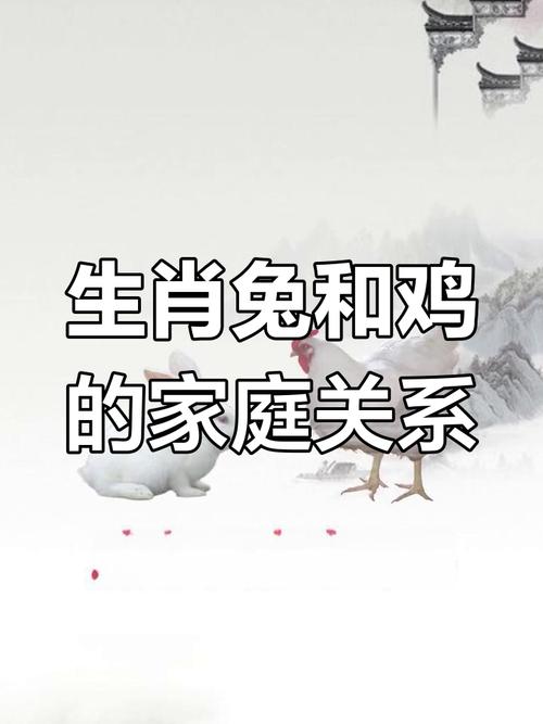 兔配什么生肖最好婚姻相配鸡的简单介绍