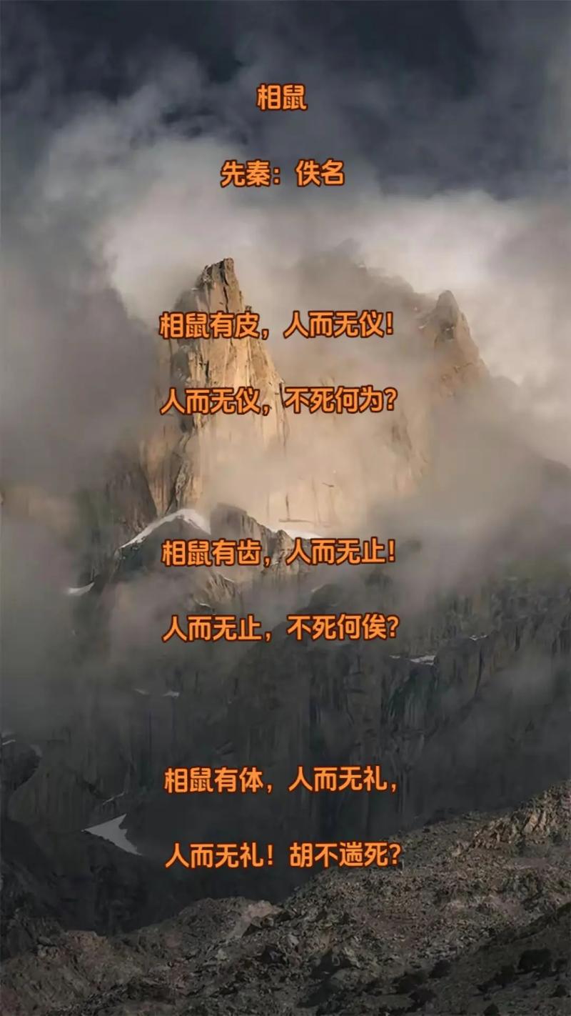 “面无人色”打一生肖是什么,面无人色是从什么武学转化来的