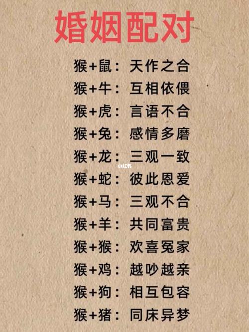 生肖配对什么生肖最好,生肖配对什么生肖最好呢