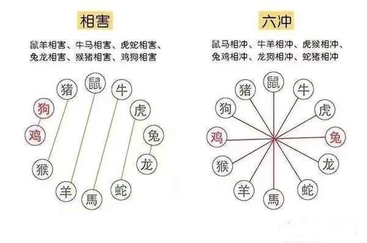 什么生肖跟什么生肖对冲呢,什么生肖跟什么生肖对冲呢图片
