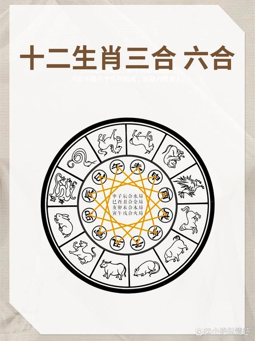 二合三打一生肖,三二合是什么动物
