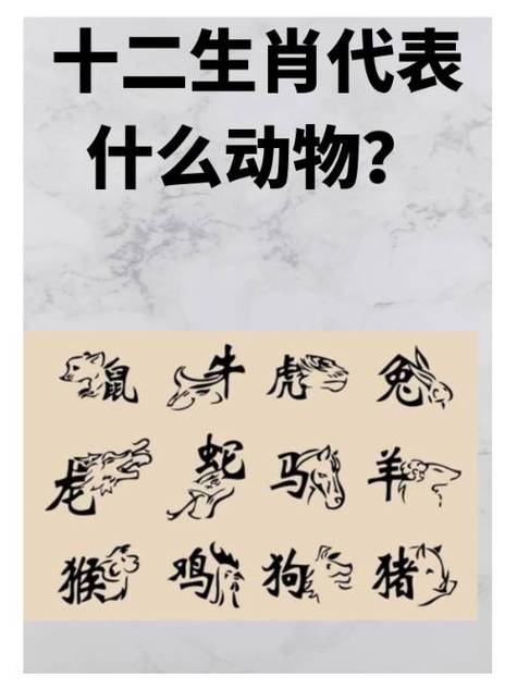 谁知今期是代表什么动物,谁知今期是代表什么动物生肖
