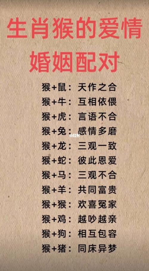 猴配什么生肖最好,猴配什么生肖最好婚姻