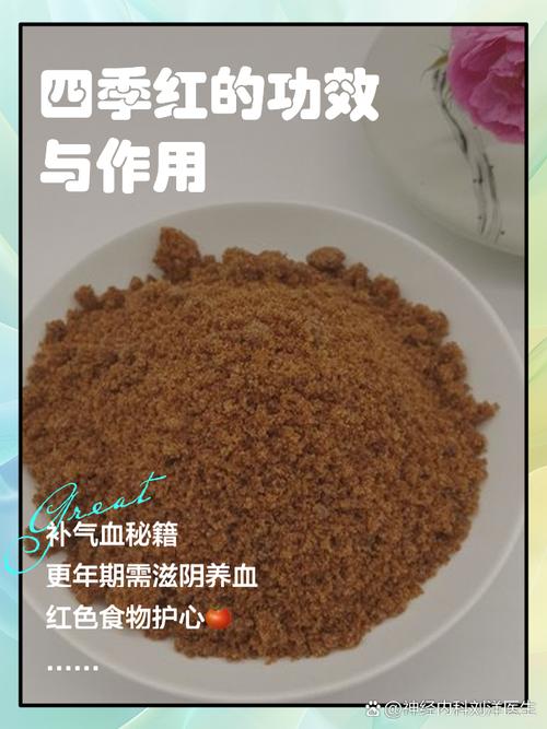 四季红火打一生肖,四季红的功效与作用图片