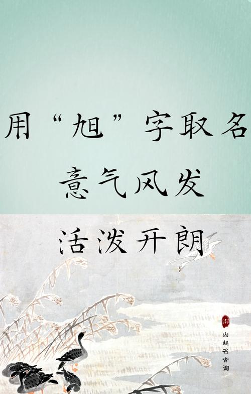 旭字打一生肖,旭字应该开什么生肖