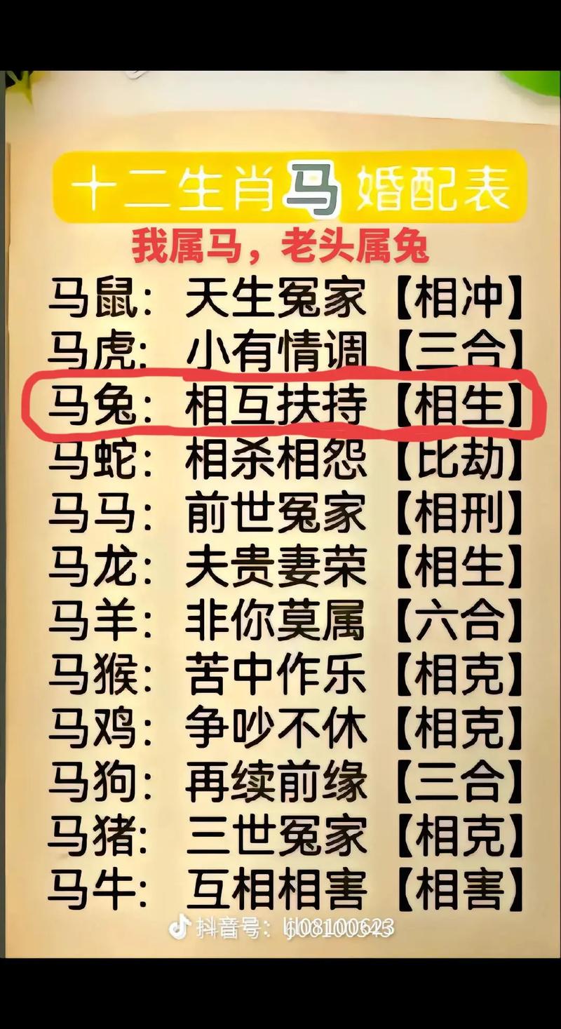 生肖兔和什么生肖不合,生肖兔和什么生肖不合财
