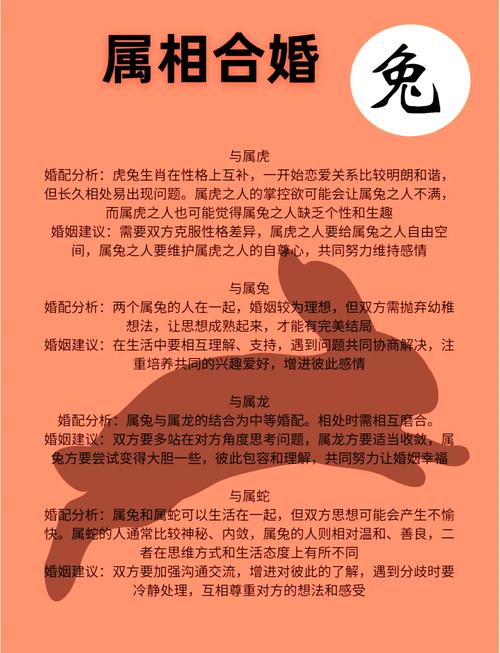 兔的仇人是什么生肖,兔的仇人是什么生肖相冲