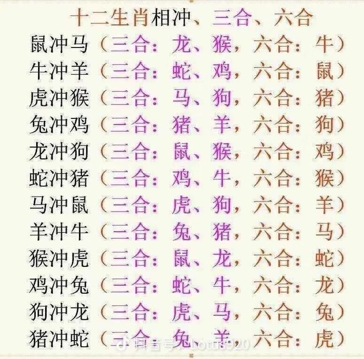 望打一生肖,亳无希望打一生肖