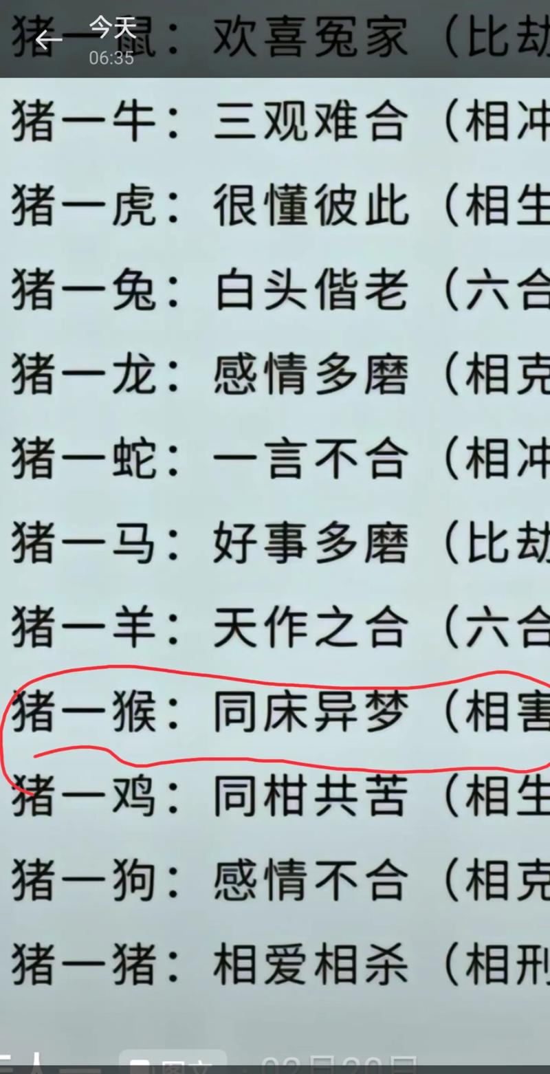 今期生肖定猪猴是什么动物,今期生肖定蛇马,特肖必定在一定龙猴又相见