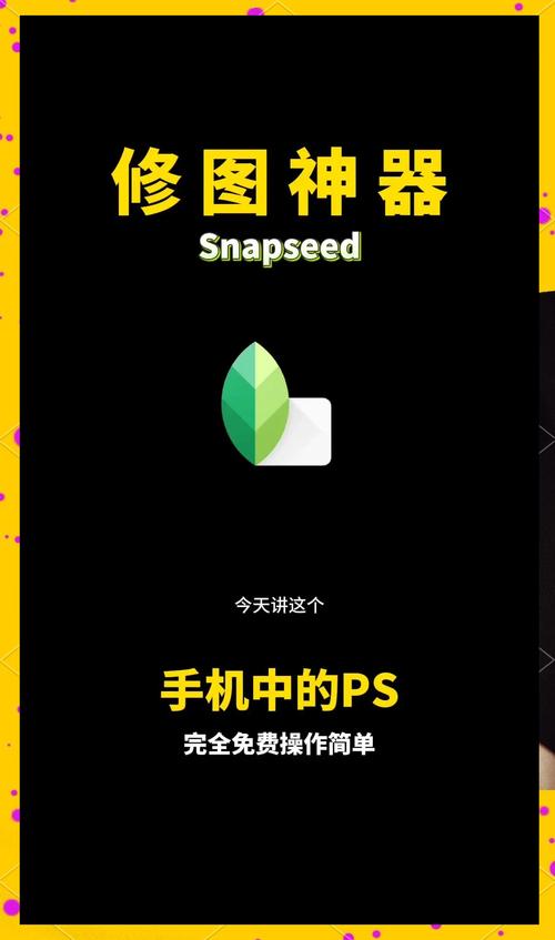 snapseed手机正版安装,snapseed手机修图软件免费版
