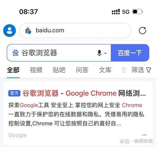 谷歌浏览器网页入口,谷歌浏览器网页入口网址