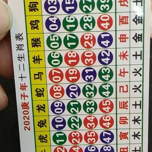 今期生肖今期来是什么意思,今期生肖最简单代表什么数字