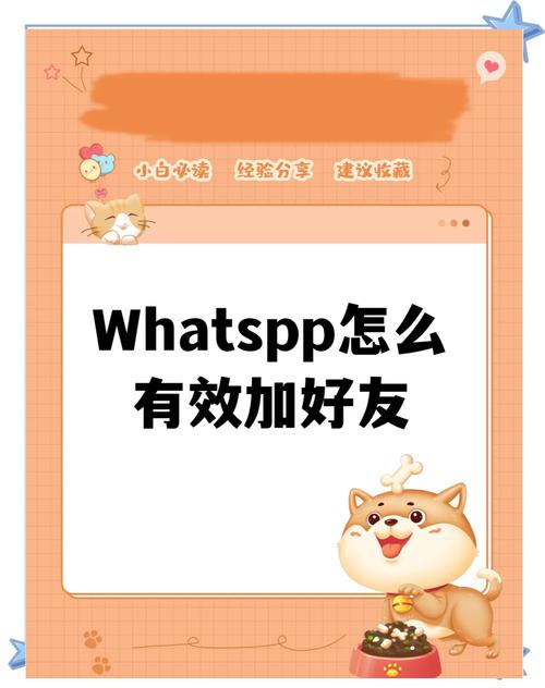 WhatsApp添加个人方法,whatsapp上怎么添加好友