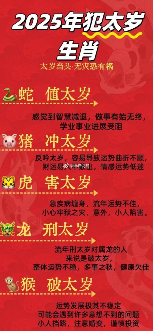 九君赌风起凤浪正确一肖,九君赌风起风浪是什么生肖