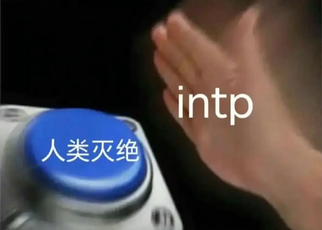 intp官网形象,intp meme