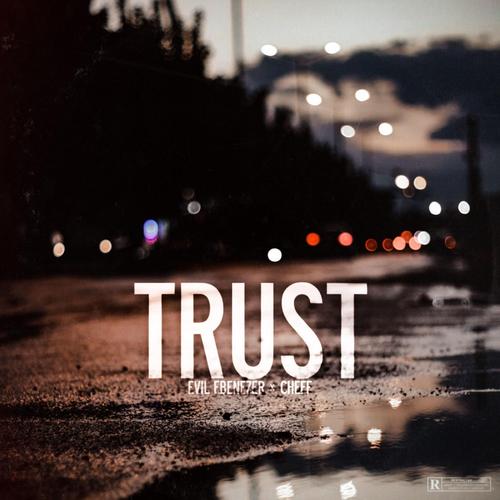 trustwallet安全吗,trustwallettoken