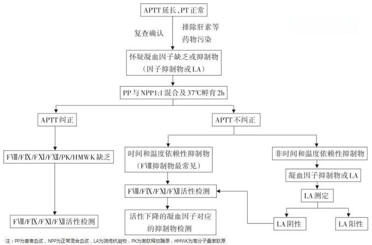 tp医学上指什么,24hutp医学上指什么