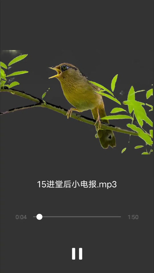 无线电电报铃声,无线电报声音铃声