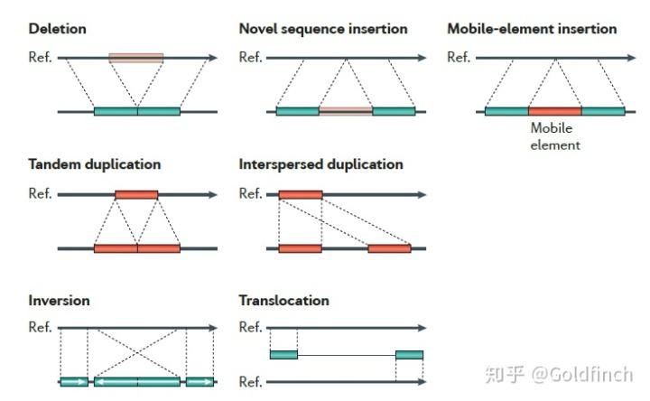 [presence记忆方法]predecessor记忆方法