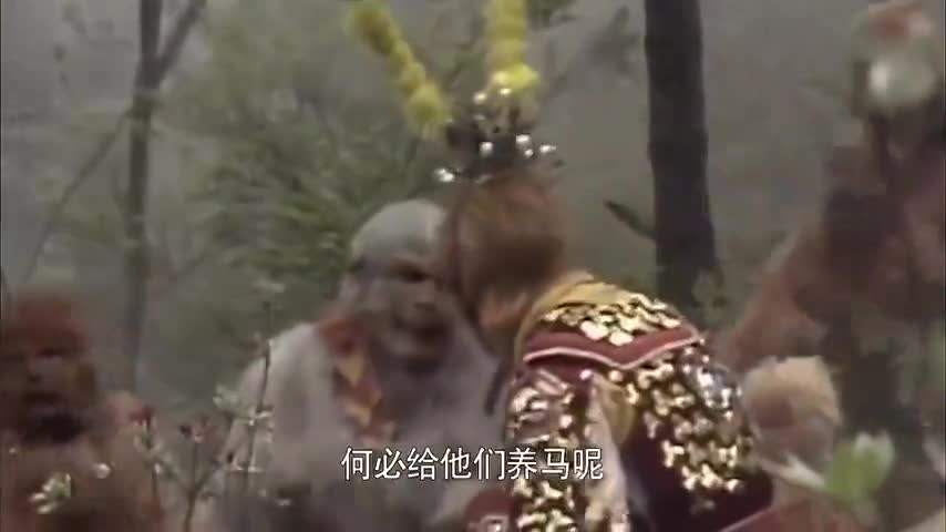 [旧版孙悟空骂人视频]旧版孙悟空骂人视频合集
