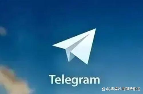 [纸飞机app中文下载]纸飞机APP中文版下载